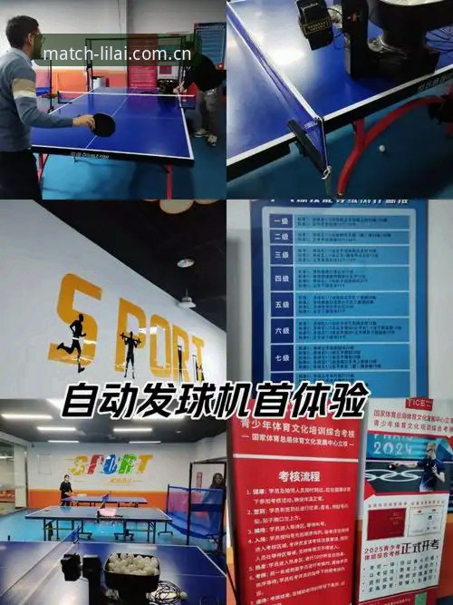 利来体育官网资深用户心得：玩转利来体育LILAI平台的实战经验分享